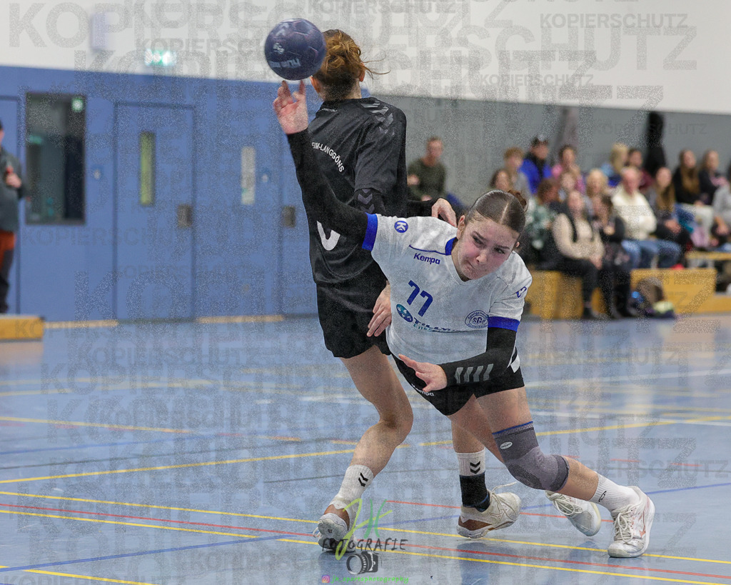 Frauen 2. Bezirksklasse, SG Rechtenbach - HSG Kleenheim/Langgöns III | Frauen 2. Bezirksklasse, SG Rechtenbach - HSG Kleenheim/Langgöns III am 16.11.2024 in Rechtenbach (Sporthalle Rechtenbach)Photo © 2024 - Jörg Heinrich - Realisiert mit Pictrs.com