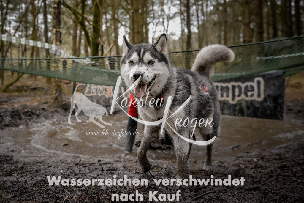 1010_ZZ90088 | kk-dogfotos