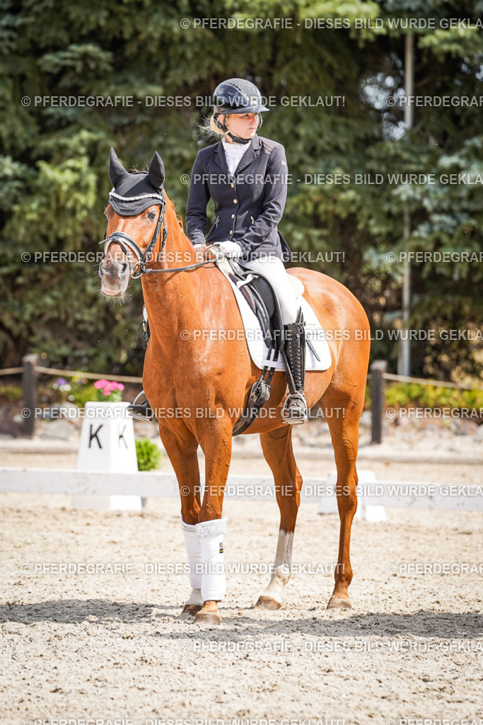 DSC02211 | Pferdegrafie