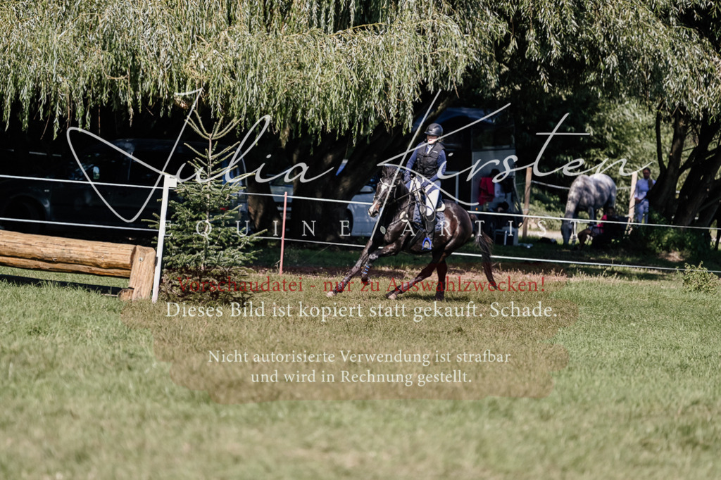 DSC_3250 | Pferde- und Turnierfotografie in Westsachsen. Pferdeportraits, Auftragszeichnungen und intuitive Kunst.