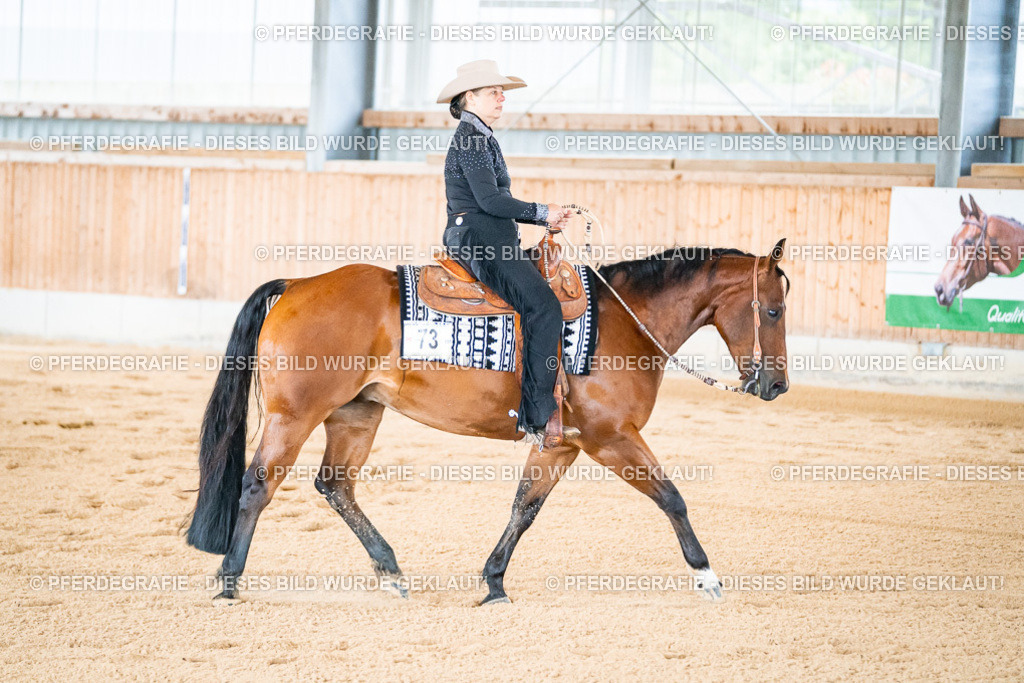 DSC01671 | Pferdegrafie