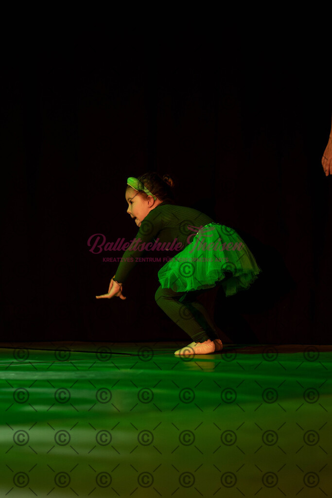 Ballettaufführung-1572 | Bildershop Lem'n Entertainment - Realisiert mit Pictrs.com