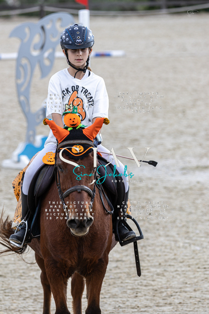 IMG_2371 | s-jay-photography - Realisiert mit Pictrs.com