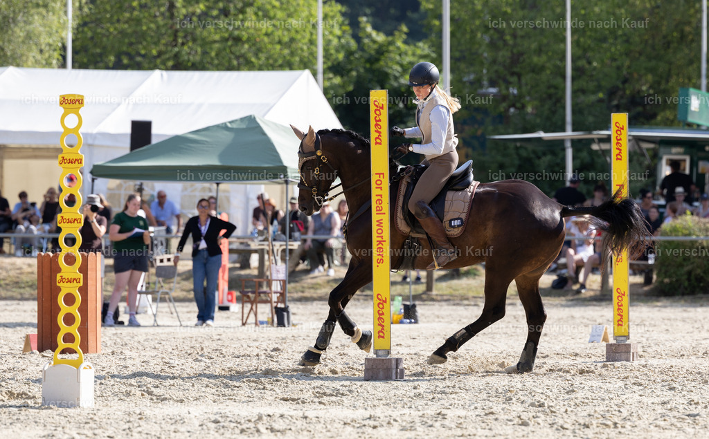 WS_SPEED_19_KerstinBernhardt | working equitationturnier fotograf videograf stoibphotography marixx film working equitation deutschland reitsport turnierfotografie eventfotografie equestrian events