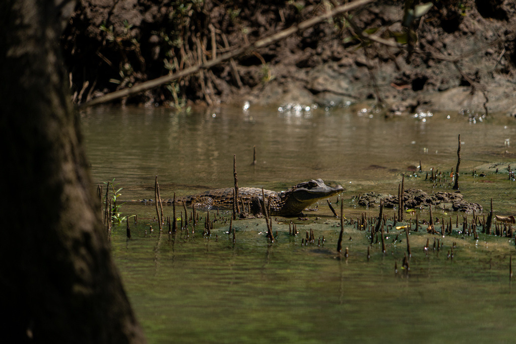 DeltaTour 30.10.25 | paulependelt - Realisiert mit Pictrs.com