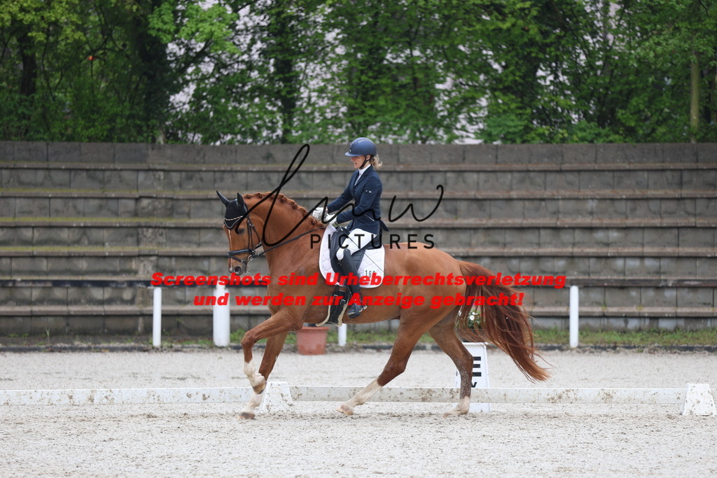 A40A8168 | lmwpictures - Realisiert mit Pictrs.com