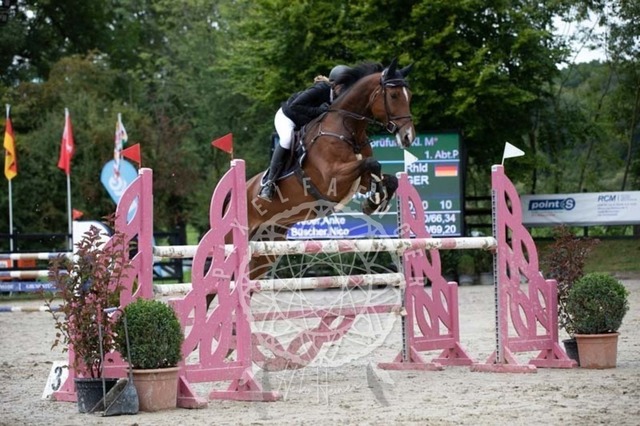 2B4A3478 | pixelfaenger - Realisiert mit Pictrs.com