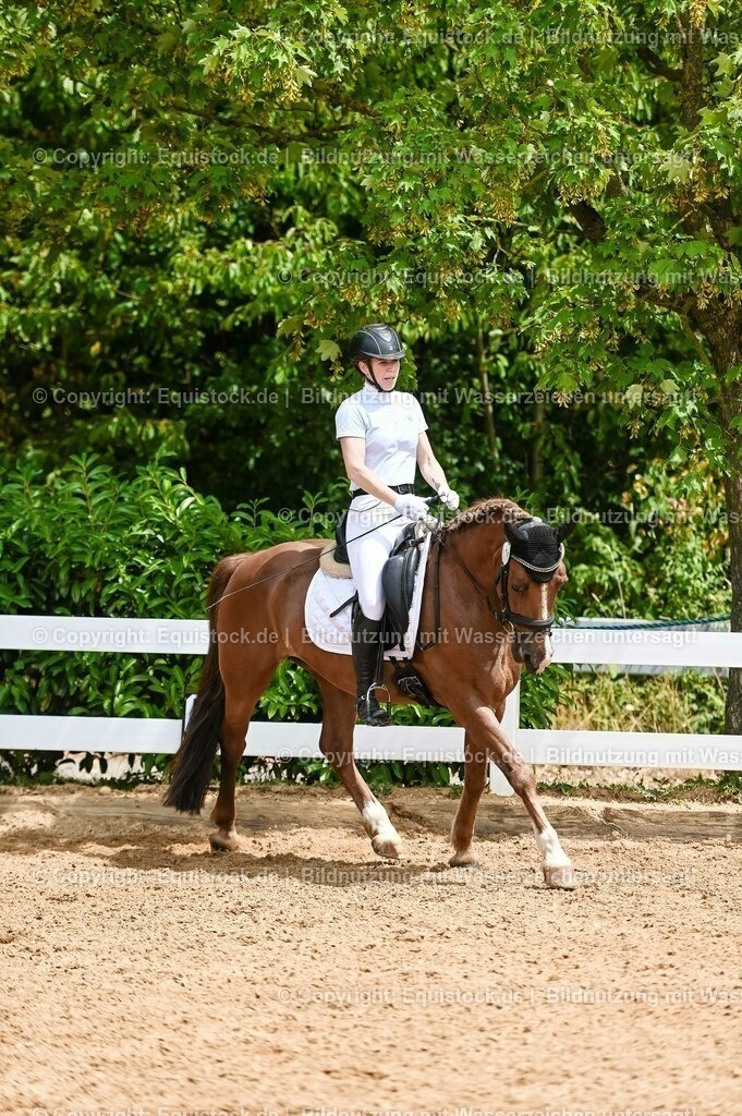 20230715_05_Dressurprüfung Kl.A++_0201 | equistock