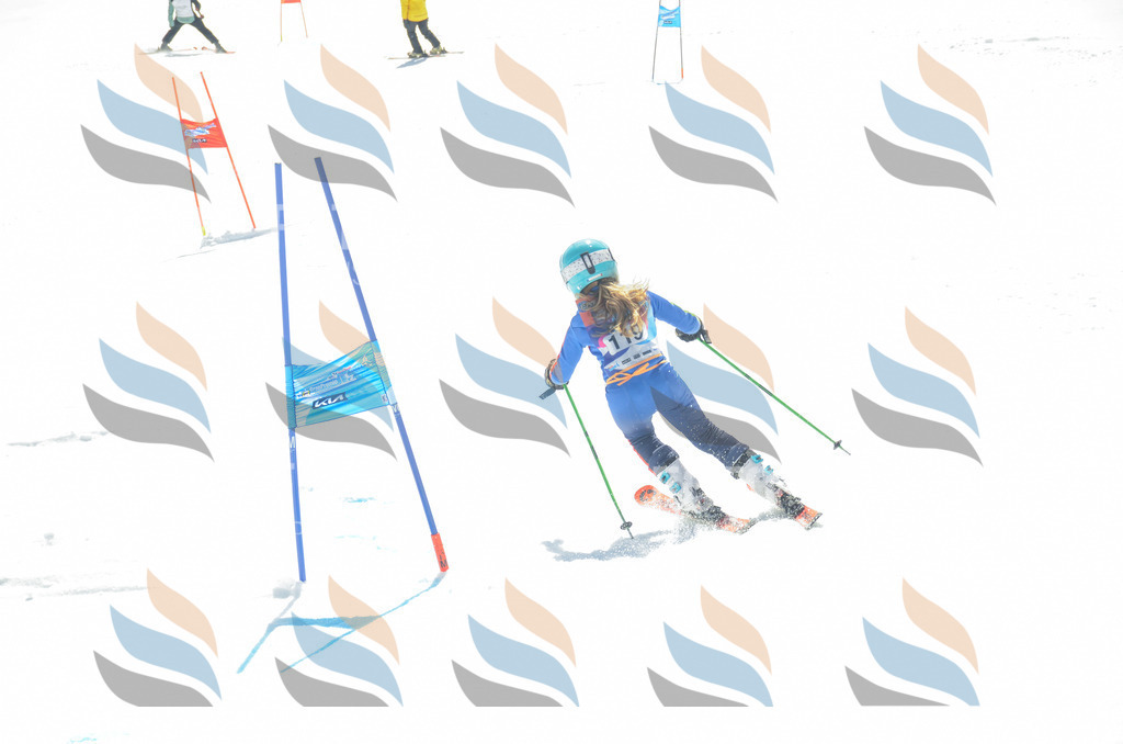 _ELE5999 | holidayphoto