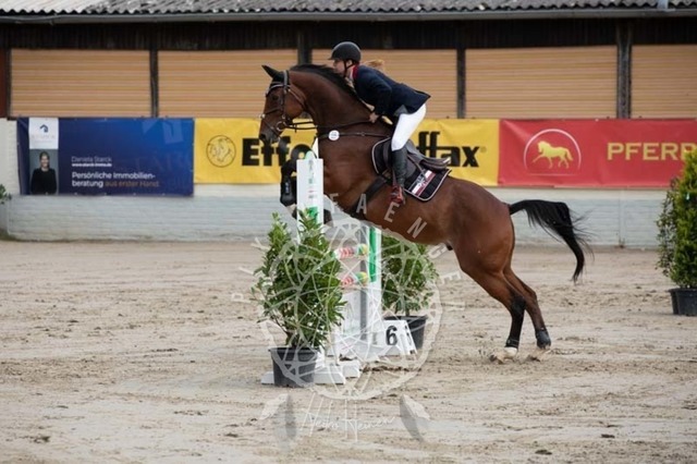 2B4A1495 | pixelfaenger - Realisiert mit Pictrs.com