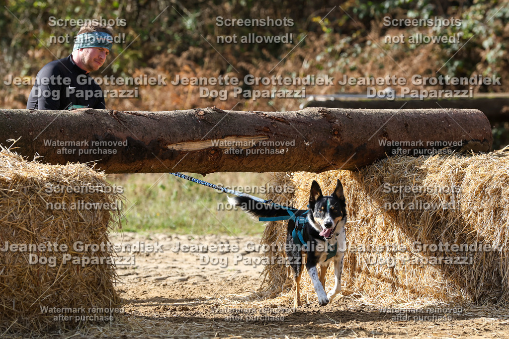 Dog Paparazzi - Strongdog 10-25-5449 | Dog Paparazzi Jeanette Grottendiek Fotografie & Videografie - Realisiert mit Pictrs.com