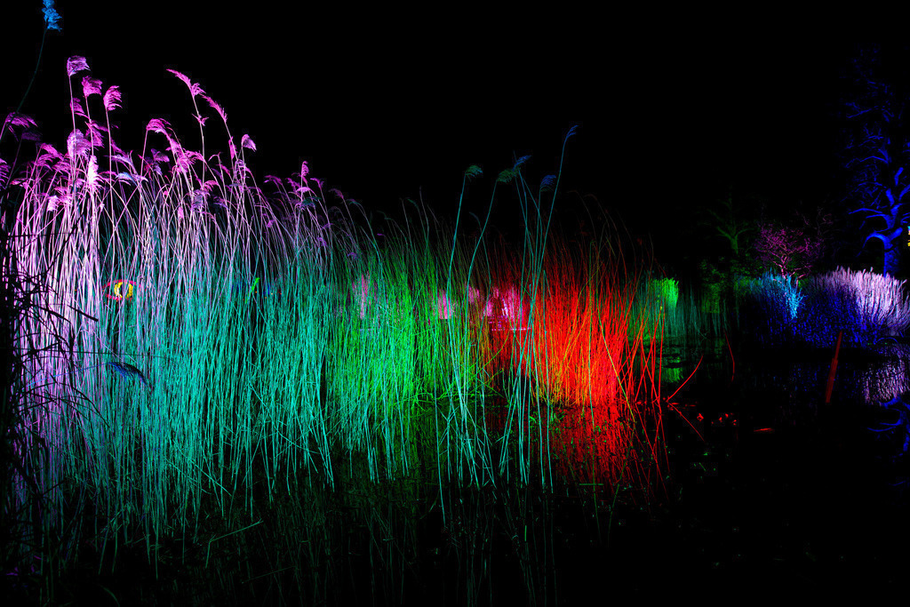 Parkleuchten_GrugaEssen24_38 | Bildergalerie von Sport-Ereignissen aber auch von weiteren spannenden Dingen - nicht nur vom Niederrhein. In Anlehnung an den bekannten Spruch von Hanns Dieter Hüsch heißt das Motto: "Niederrhein ist überall".  - Realisiert mit Pictrs.com