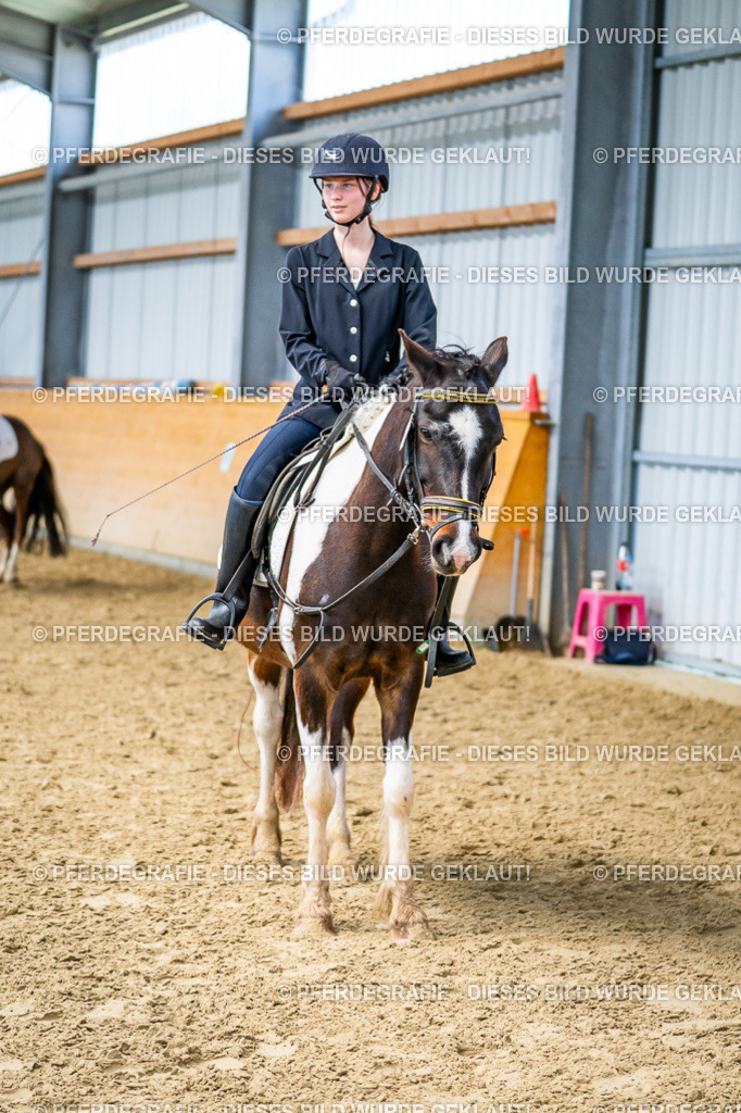 DSC03846 | Pferdegrafie