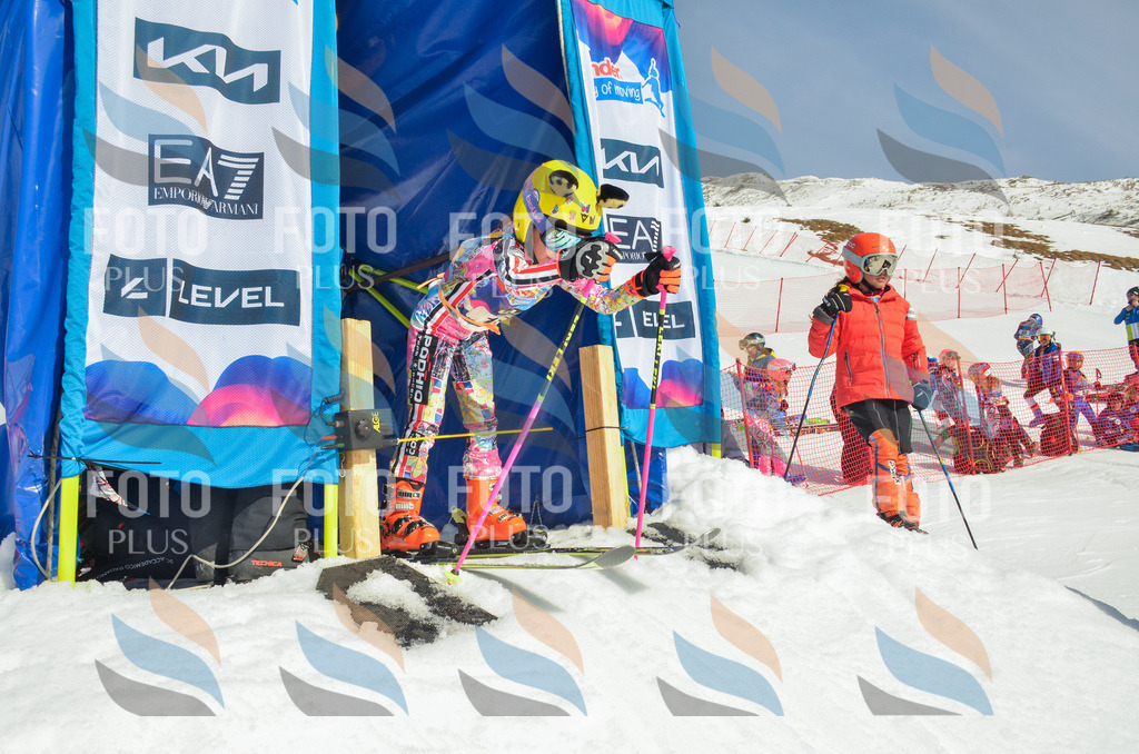 _ELE4705 | holidayphoto