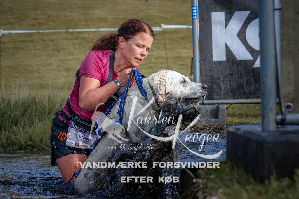 _ZZ967760737 | kk-dogfotos