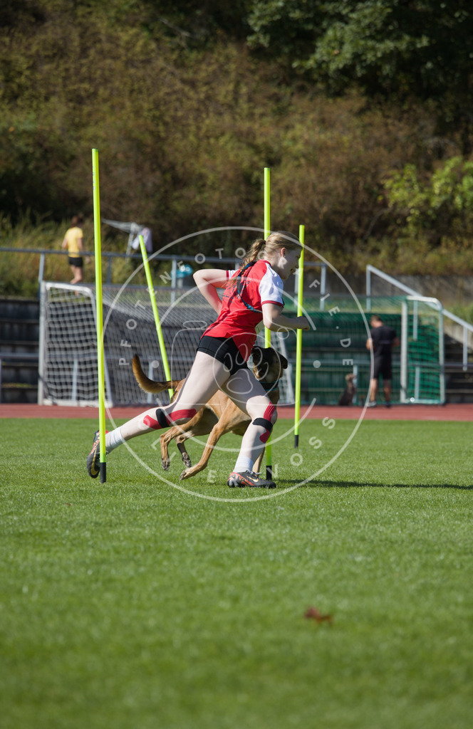 0L8A7253 | Hundefotografie, Tierfotograf, Pfotenfotografie, Fotoshooting Hund, Hunde Portrait, Hundesport, Hundeportraits, Heideshooting, Hunde, Sportfotograf, Hundefotograf, Turnierhundsport, THS,  - Realisiert mit Pictrs.com