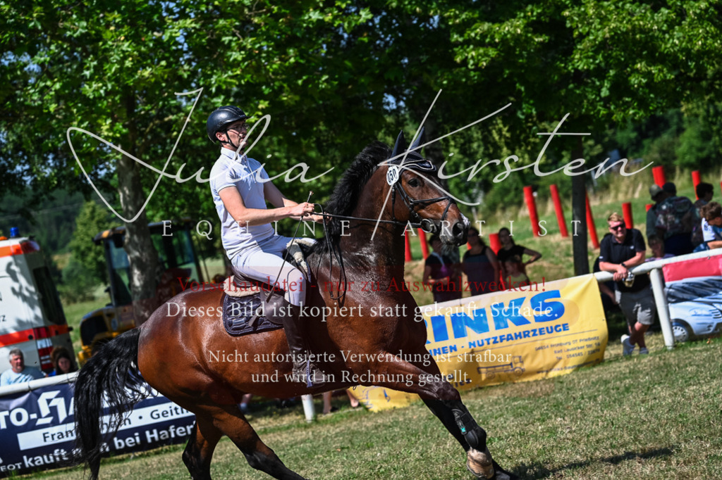 DSC_1221 | Pferde- und Turnierfotografie in Westsachsen. Pferdeportraits, Auftragszeichnungen und intuitive Kunst.