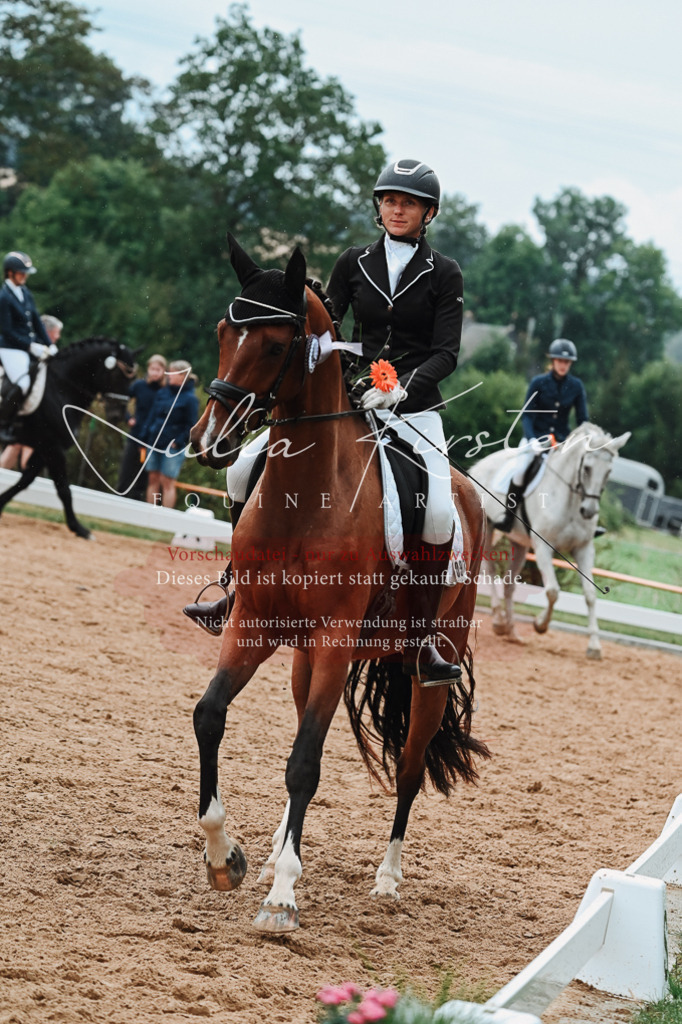 DSC_7286 | Pferde- und Turnierfotografie in Westsachsen. Pferdeportraits, Auftragszeichnungen und intuitive Kunst.
