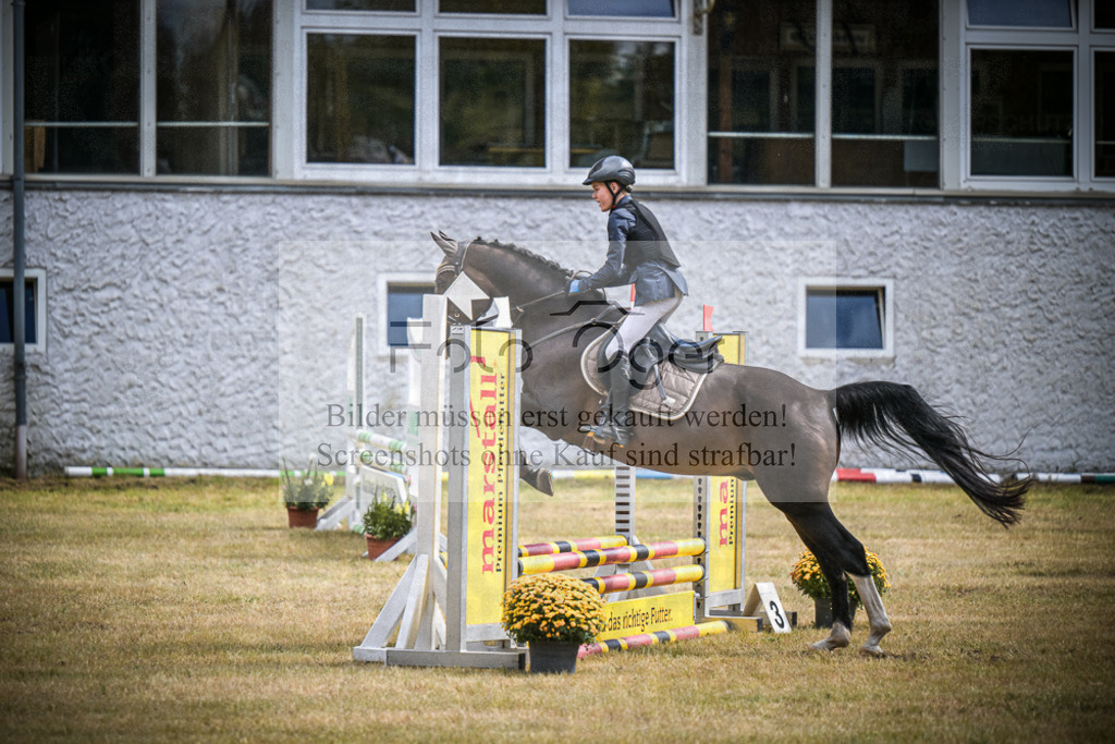 DOS_0746 | Entdecke hochwertige Reitturnierfotos von Foto Oger. Professionell, emotional und authentisch – jetzt Lieblingsmomente im Shop bestellen.Deutschlandweite Turnierfotografie. - Realisiert mit Pictrs.com
