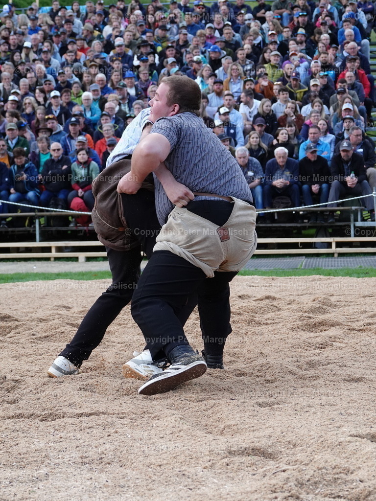 DSC07039 | Schwingen - Realisiert mit Pictrs.com