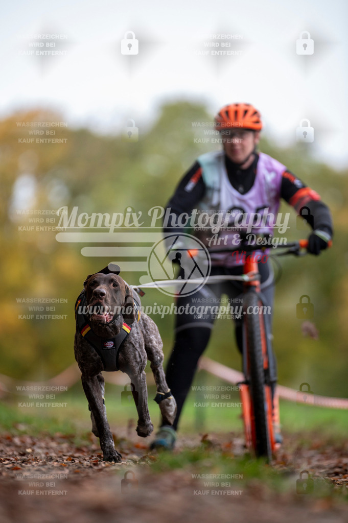 DBT_DAKM_SA_4_11_2023_DS1-20 | mompixphotography