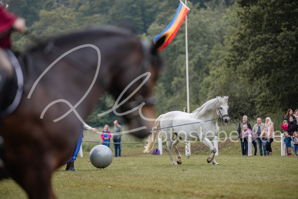 846A0478 | fotosleben - Realisiert mit Pictrs.com