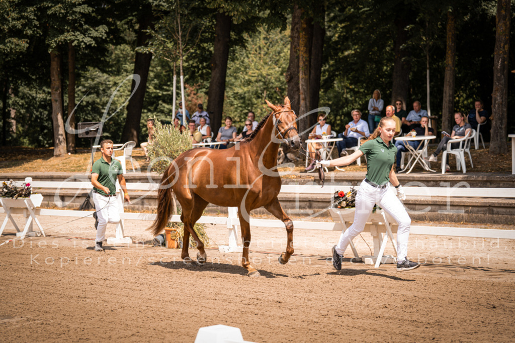 1.Fr00033 | Leoni Ertmer Photography - Realisiert mit Pictrs.com