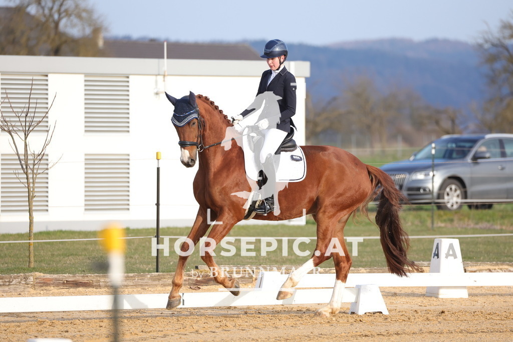 0P6A5935 | Willkommen bei Brunnmayr - Design & Fotografie – Ihrem Spezialisten für Reitturniere und Pferdeveranstaltungen in Oberösterreich, Salzburg und Bayern! Seit über 17 Jahren sind wir leidenschaftlich dabei.