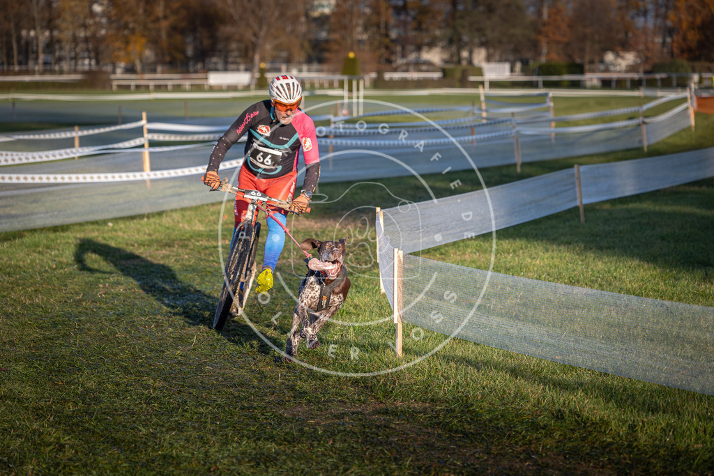 CaniXpix_0L8A3235 | Hundefotografie, Tierfotograf, Pfotenfotografie, Fotoshooting Hund, Hunde Portrait, Hundesport, Hundeportraits, Heideshooting, Hunde, Sportfotograf, Hundefotograf, Turnierhundsport, THS,  - Realisiert mit Pictrs.com