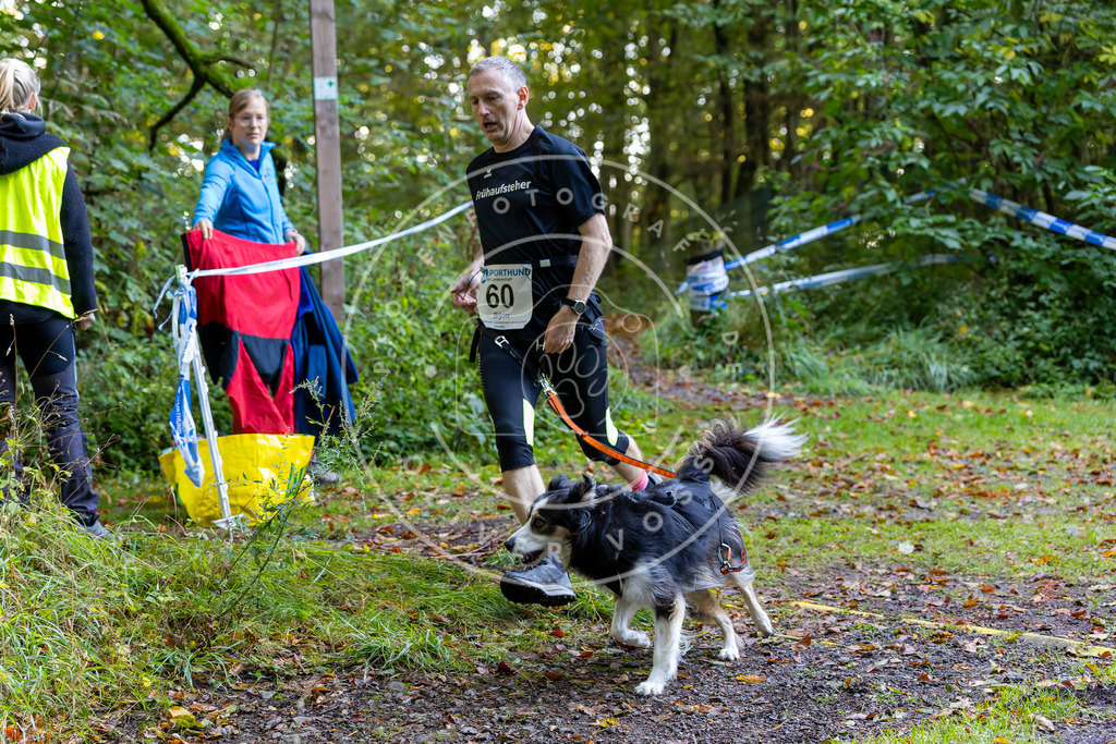 Pfotenfotografie_DV3A7205 | Hundefotografie, Tierfotograf, Pfotenfotografie, Fotoshooting Hund, Hunde Portrait, Hundesport, Hundeportraits, Heideshooting, Hunde, Sportfotograf, Hundefotograf, Turnierhundsport, THS,  - Realisiert mit Pictrs.com
