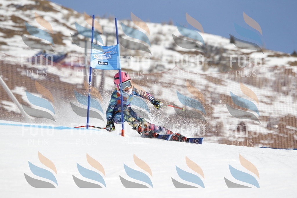 _U3G8848 | holidayphoto