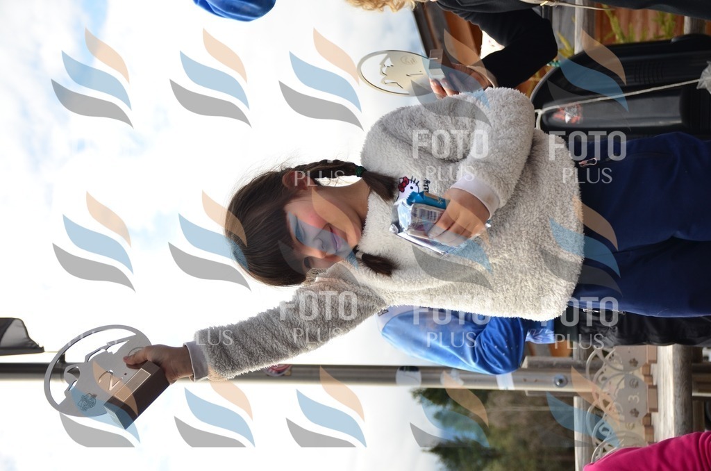 A6298 | holidayphoto