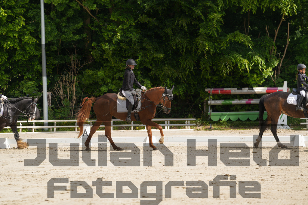 DSC03106 | Julian Held Fotografie - Realisiert mit Pictrs.com