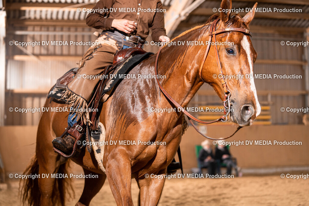 Losheim Tag 1-69 | dv-media-shop - Realisiert mit Pictrs.com