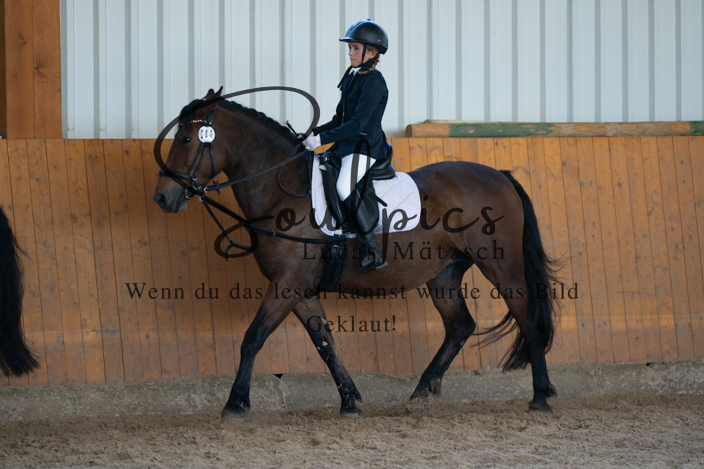 A7V02098 | Turnier/Reitfotograf