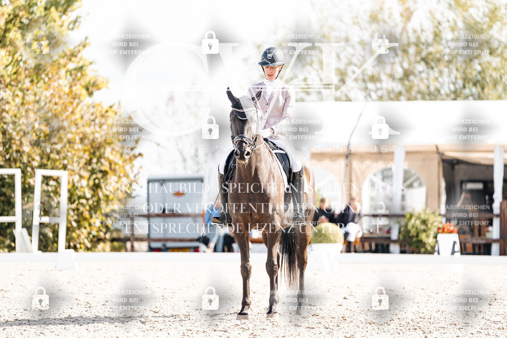CK901912 | Turnierfotografie Pferdefotografie Trier Rheinland-Pfalz Pferdesport Reitsport Tierfotografie Sportfotografie Pferdevideo Pferdevideografie Equestrianvideography equestrianphotography  - Realisiert mit Pictrs.com