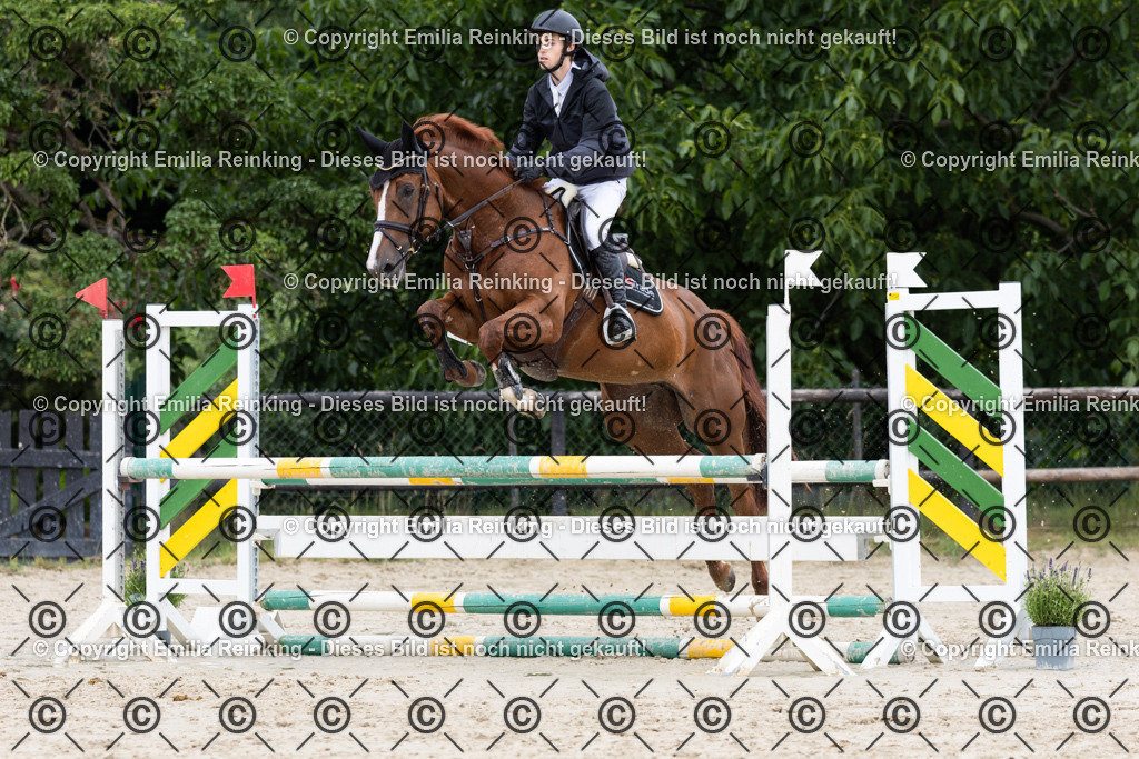 CL5A5101 | Emilia Reinking Fotografie - Realisiert mit Pictrs.com