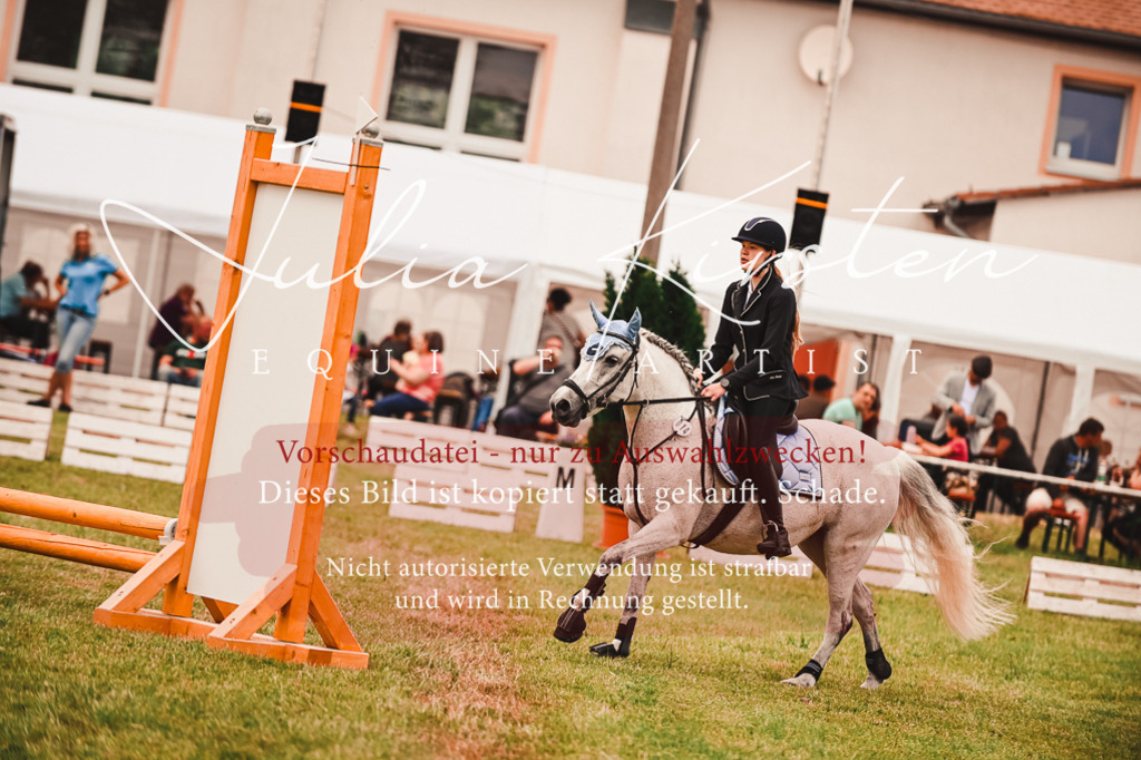 DSC_6963 | Pferde- und Turnierfotografie in Westsachsen. Pferdeportraits, Auftragszeichnungen und intuitive Kunst.