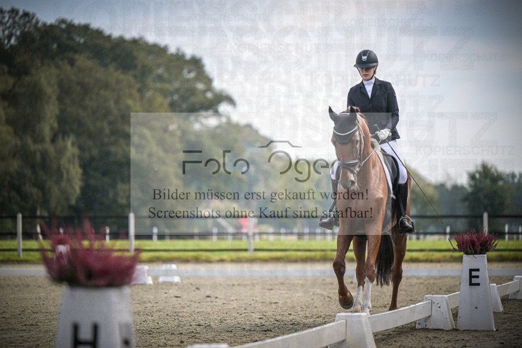 DOS_B668 | Entdecke hochwertige Reitturnierfotos von Foto Oger. Professionell, emotional und authentisch – jetzt Lieblingsmomente im Shop bestellen.Deutschlandweite Turnierfotografie. - Realisiert mit Pictrs.com