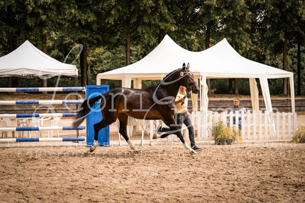 6.Fr00012 | Leoni Ertmer Photography - Realisiert mit Pictrs.com