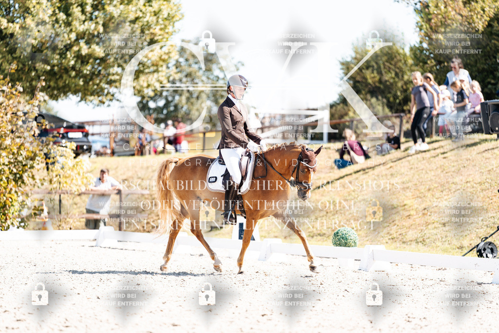 CK903755 | Turnierfotografie Pferdefotografie Trier Rheinland-Pfalz Pferdesport Reitsport Tierfotografie Sportfotografie Pferdevideo Pferdevideografie Equestrianvideography equestrianphotography  - Realisiert mit Pictrs.com