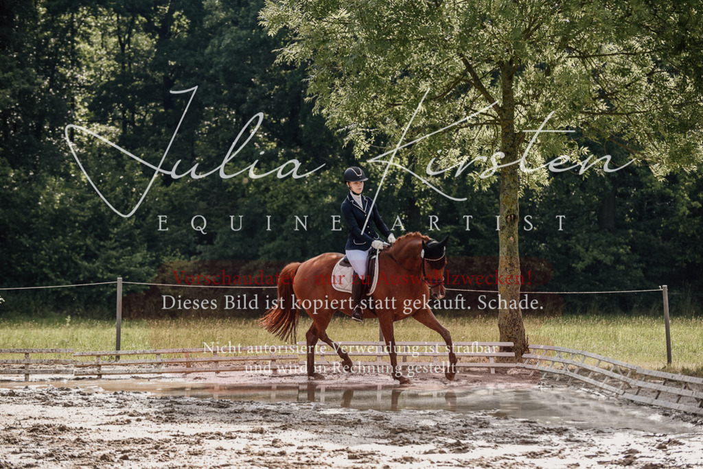 DSC_8946 | Pferde- und Turnierfotografie in Westsachsen. Pferdeportraits, Auftragszeichnungen und intuitive Kunst.