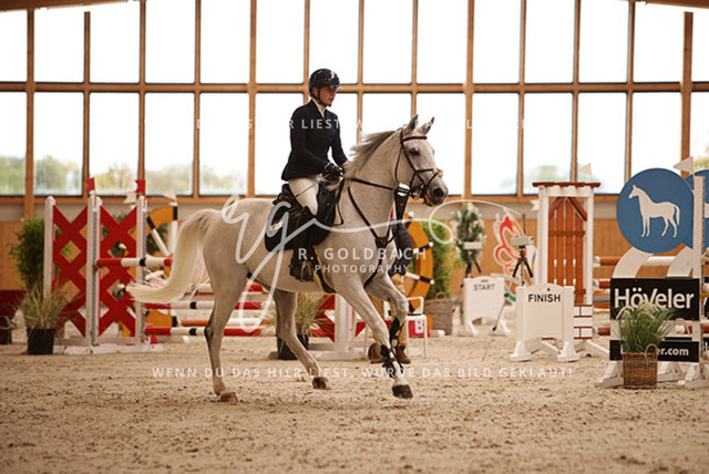 1J2A3082Johanna Dobner_ Caramella 20_ Kn066_ Hohen Wieschendorf_ Glantz | Foto- und Videografie für alles rund ums Pferd. Hochwertige Bilder und Videos vom Spring- und Dressurreiten, Voltigieren & mehr. Jetzt aktuelle Veranstaltungen und Preise im Shop ansehen. - Realisiert mit Pictrs.com