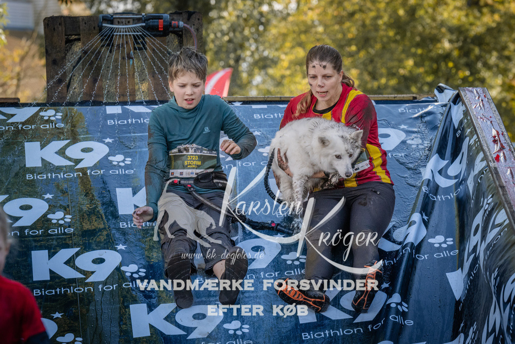 1440_ZZ93609 | kk-dogfotos
