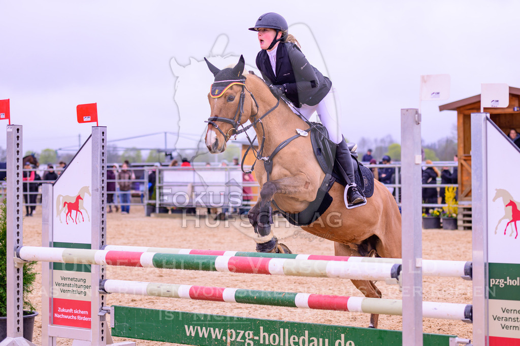 12042026-Mammendorf-Prfg38-0832 | Fokus Hufschlag Fotografie - Realisiert mit Pictrs.com