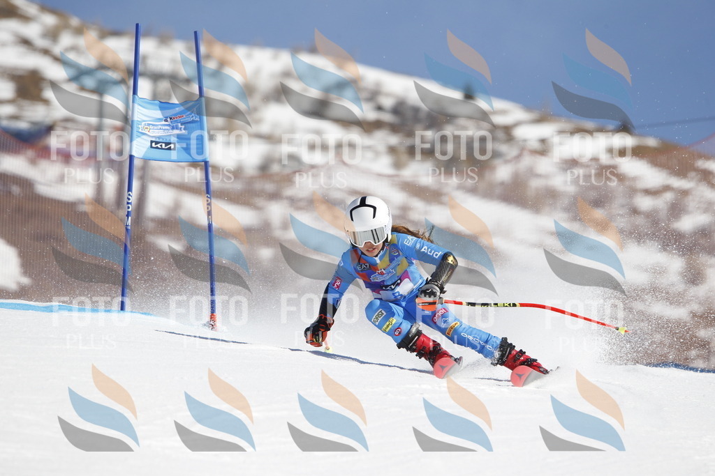 _U3G8625 | holidayphoto