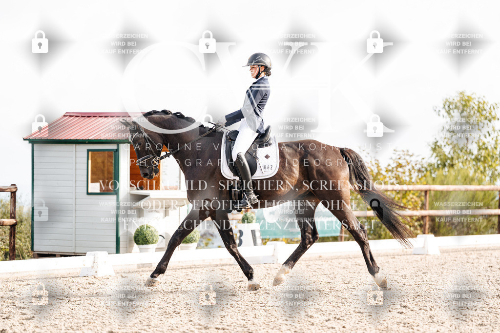 CK901085 | Turnierfotografie Pferdefotografie Trier Rheinland-Pfalz Pferdesport Reitsport Tierfotografie Sportfotografie Pferdevideo Pferdevideografie Equestrianvideography equestrianphotography  - Realisiert mit Pictrs.com