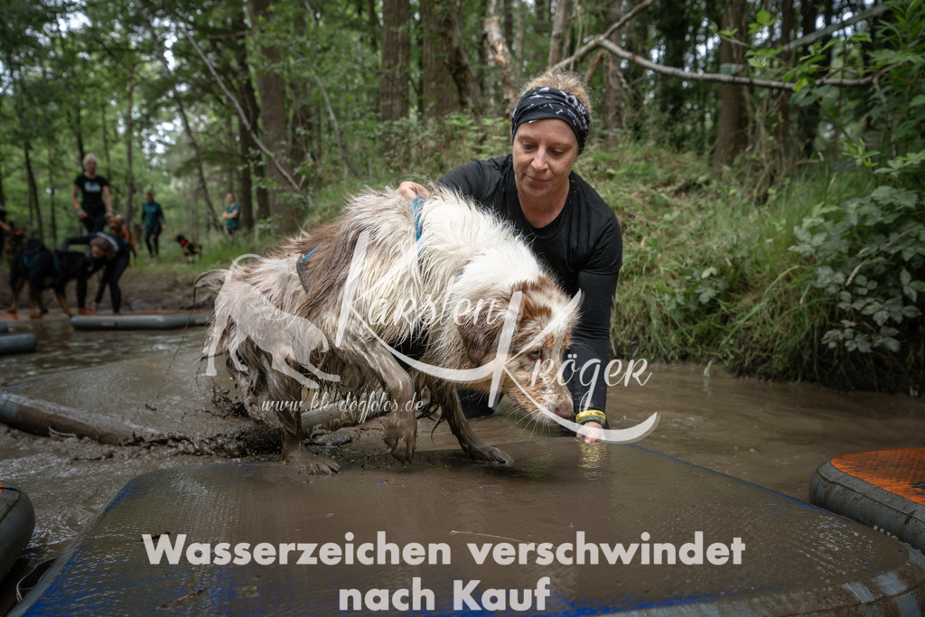 1226_ZZ99164 | kk-dogfotos