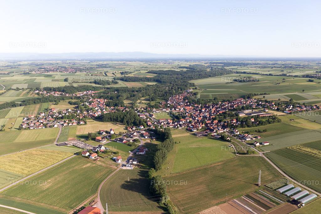 Vue aérienne: Vue de la ville à Riedseltz dans le département Bas Rhin, France. Photo: IMG_100756.jpg prise le 08/06/2017 par Werner Riehm/FLY-FOTO.eu – Résolution de l'original: 5472 x 3648 px