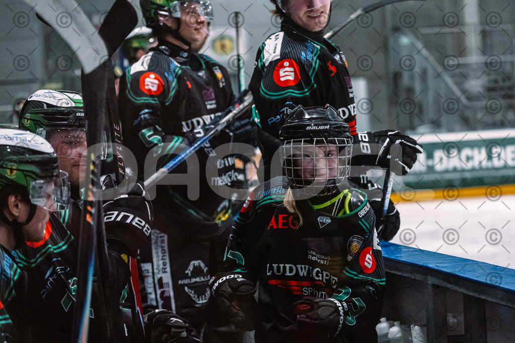 Alligators_vs_Fuessen_01_03_2026_PP-8 | Höchstadt Alligators Fotogalerie: Eishockey-Action aus Franken. Professionelle Spielfotos, Portraits & Stadionbilder zum Download. Jetzt entdecken! - Realisiert mit Pictrs.com